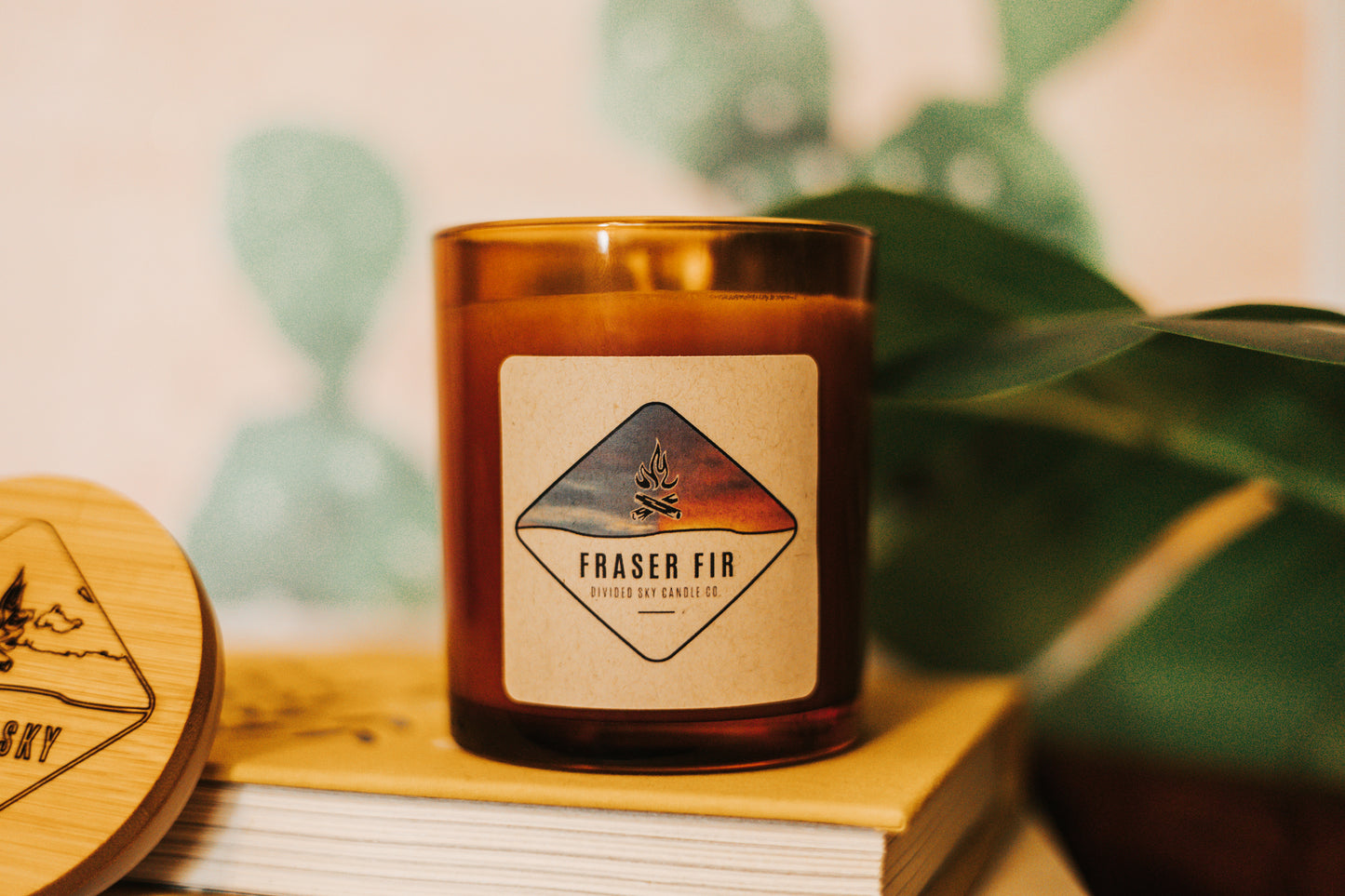 Fraser Fir